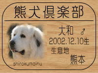 ���܂Ƃ�����̂g�o�ւf�n�I